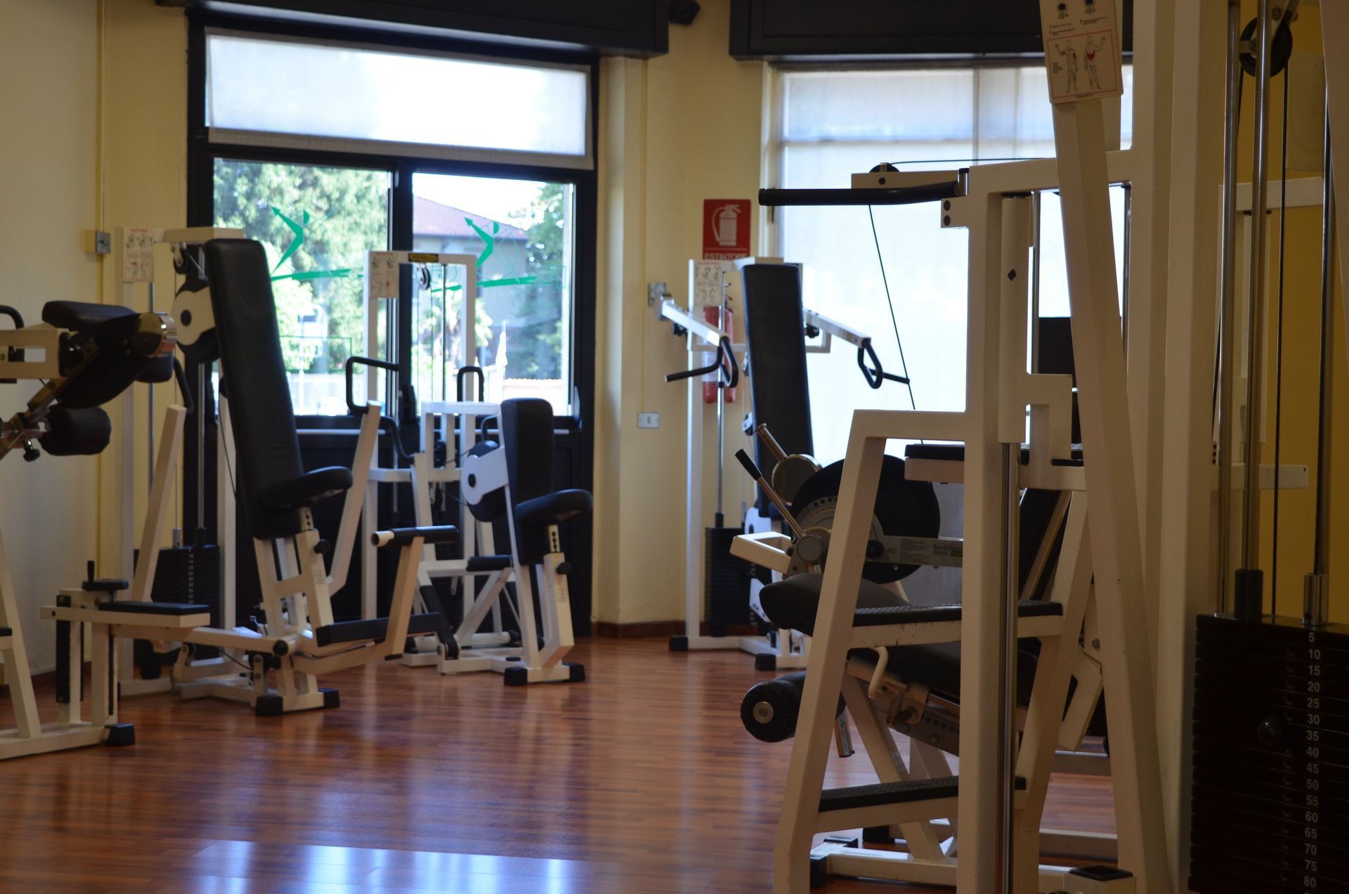 palestra
