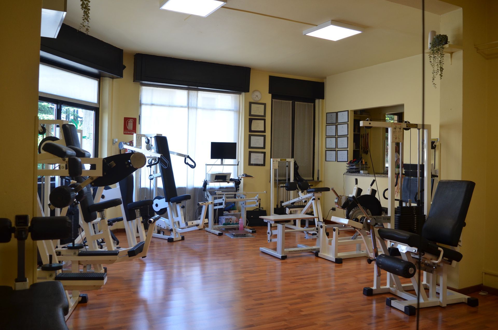 palestra