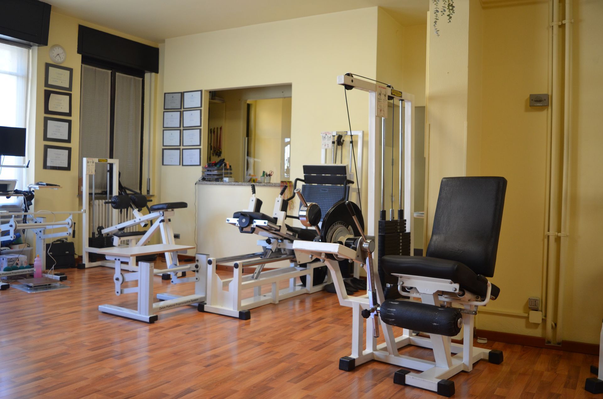 palestra