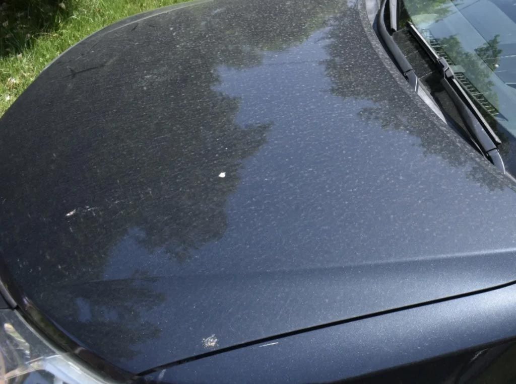 Dusty dark car hood with windshield wiper and tree reflections
