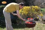 fire pit