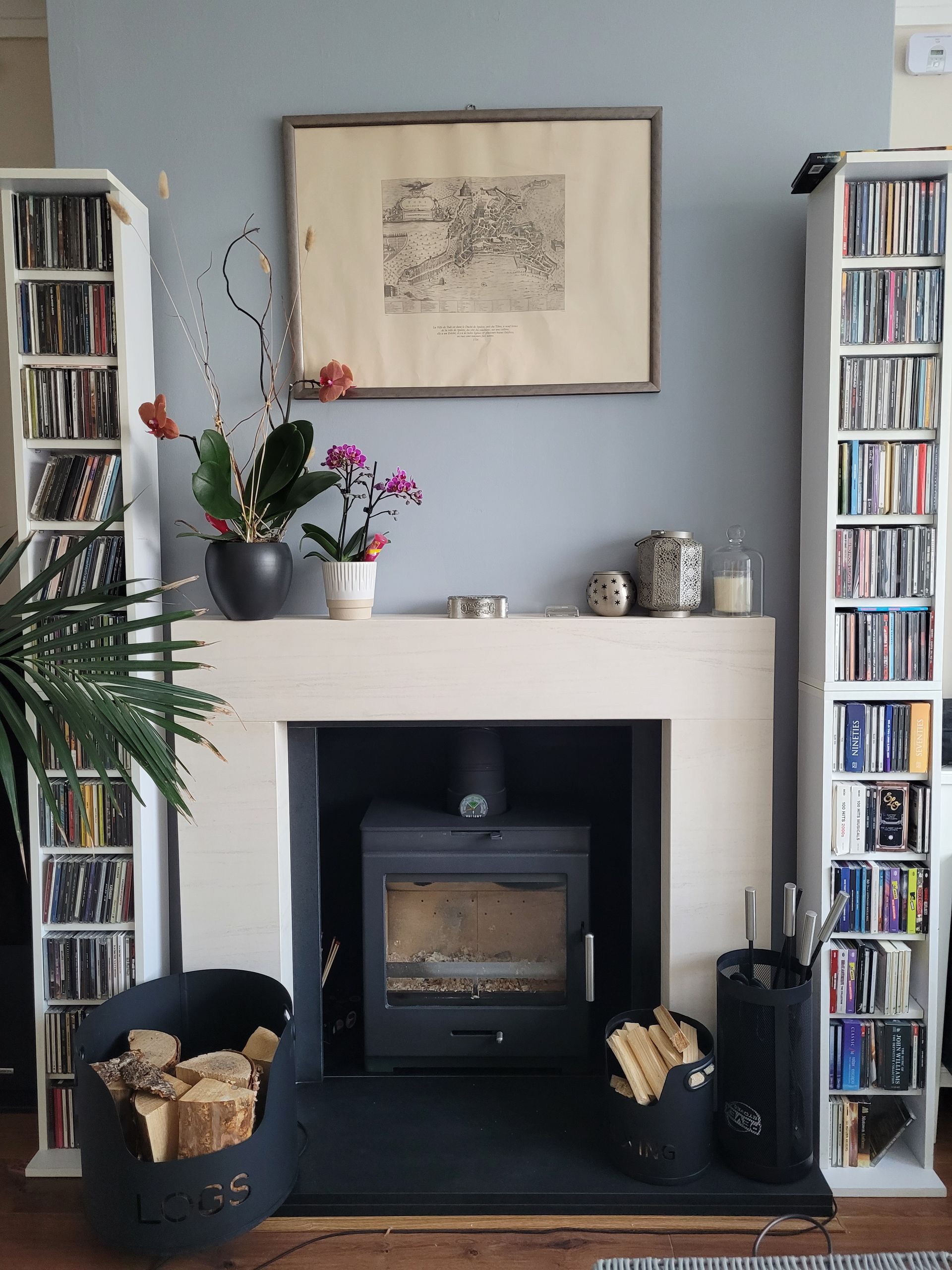 Wood burning stove in modern fireplace with decor, plants, and log storage in a stylish living room