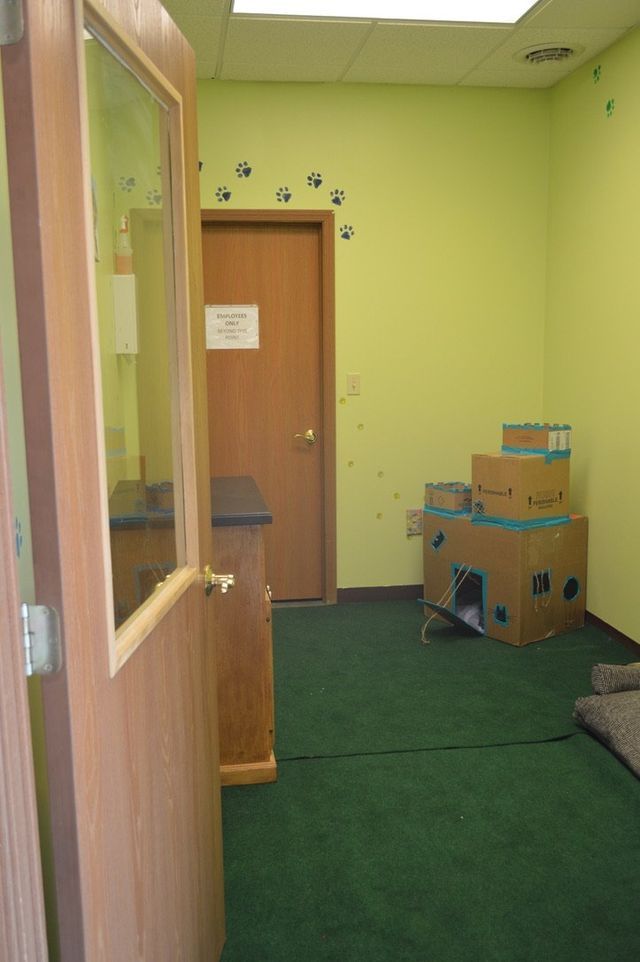 Office Door — Urbana, IL — All Creatures Animal Hospital
