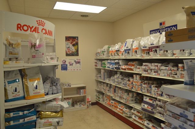Medicines For Pets — Urbana, IL — All Creatures Animal Hospital