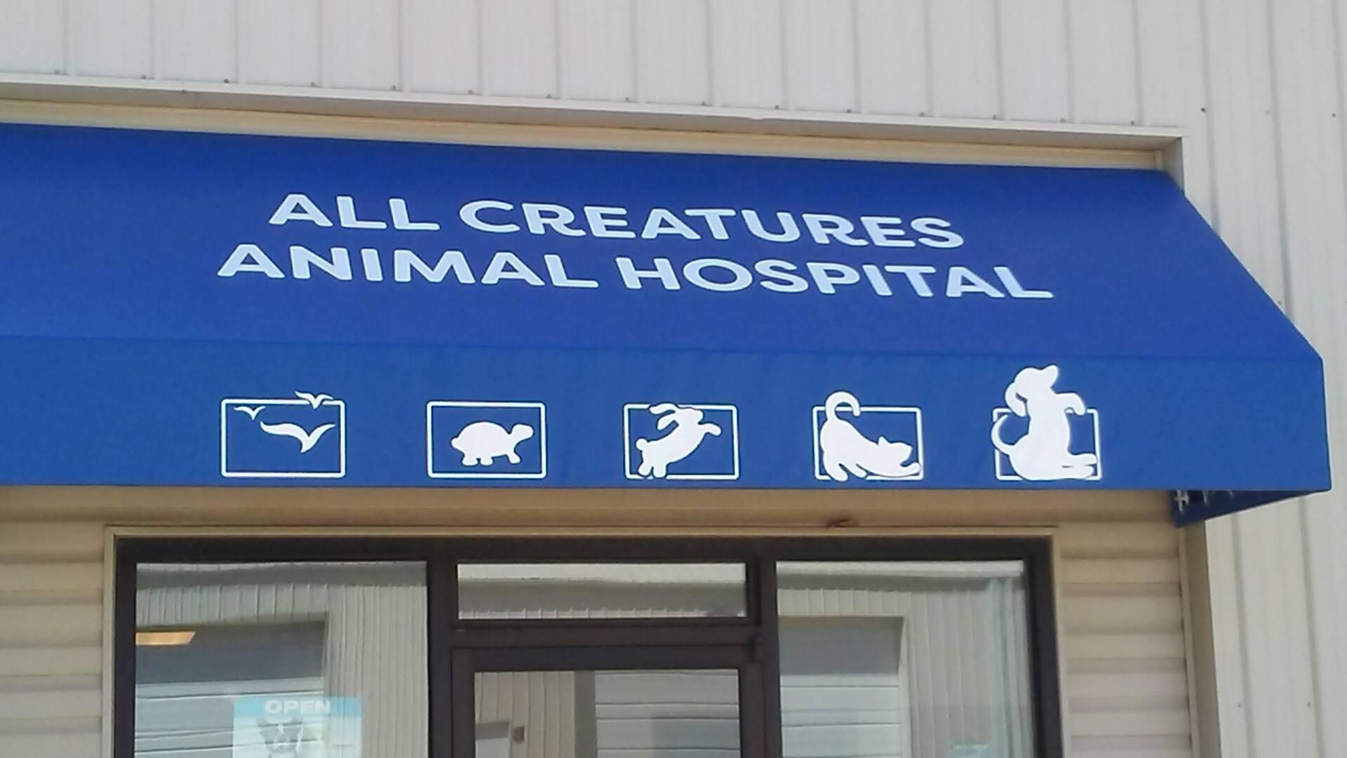 All Creatures Animal Hospital Office — Urbana, IL — All Creatures Animal Hospital