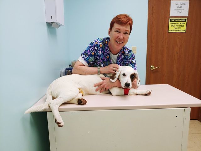 Woman With Dog — Urbana, IL — All Creatures Animal Hospital