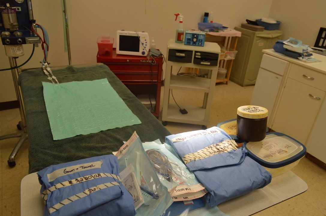 Animal Operation Room — Urbana, IL — All Creatures Animal Hospital