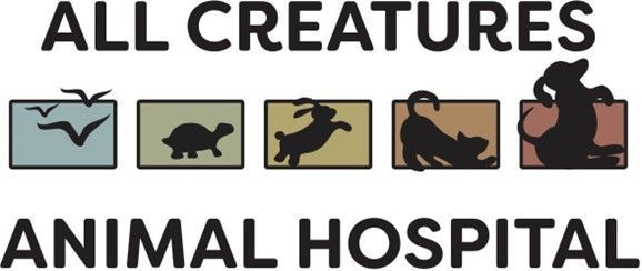 All Creatures Animal Hospital
