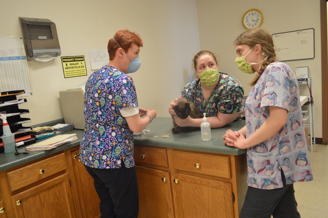 Staffs Talking — Urbana, IL — All Creatures Animal Hospital