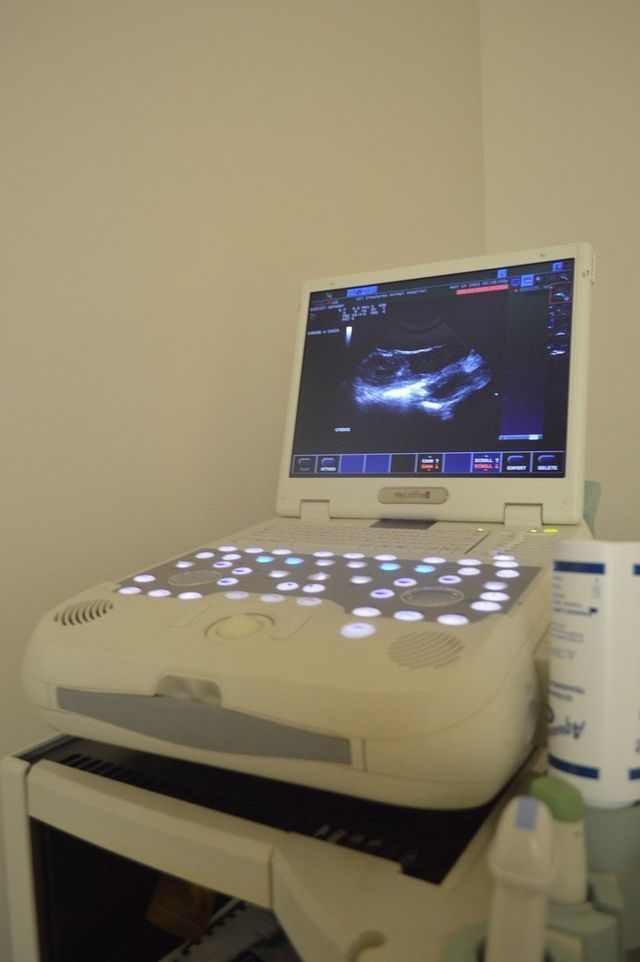 Ultrasound Equipment — Urbana, IL — All Creatures Animal Hospital