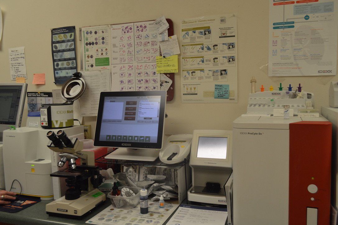 Operation Equipments — Urbana, IL — All Creatures Animal Hospital