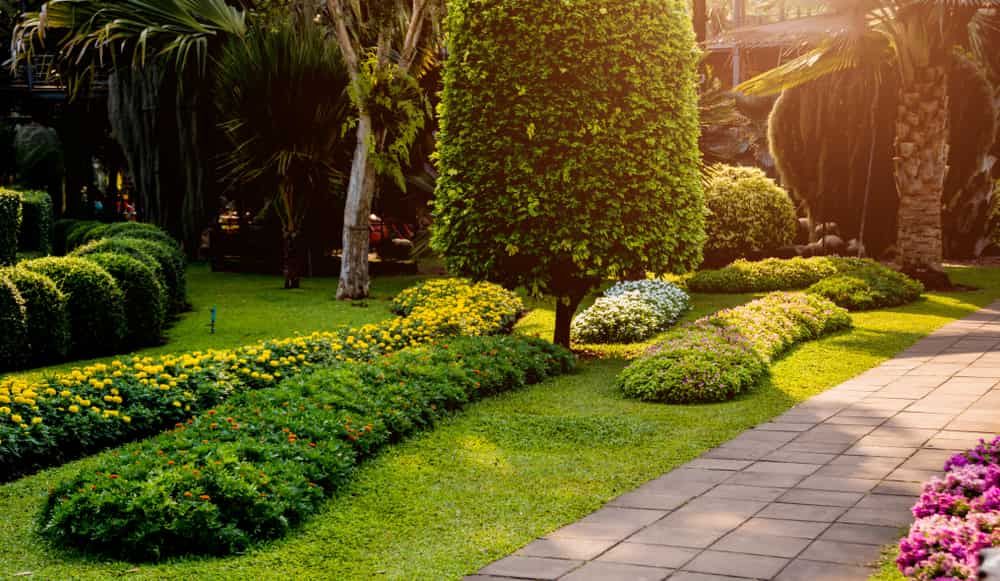 A Lush Green Garden With Trees , Bushes , and Flowers — Bloomscapes in Lennox Head NSW