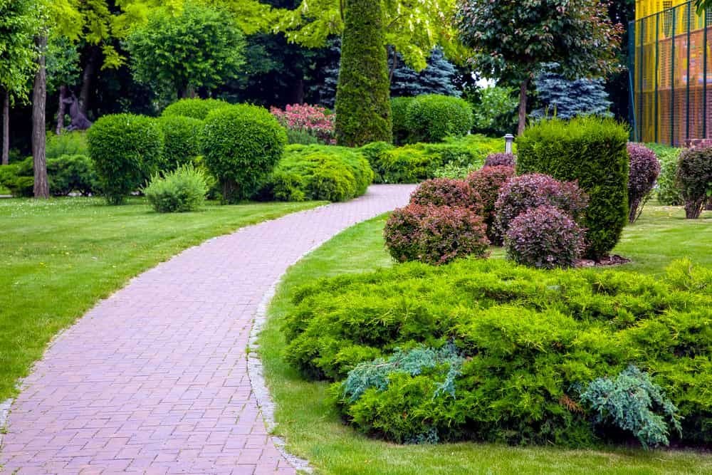 A Brick Walkway in a Park Surrounded by Trees and Bushes — Bloomscapes in Brunswick Heads NSW