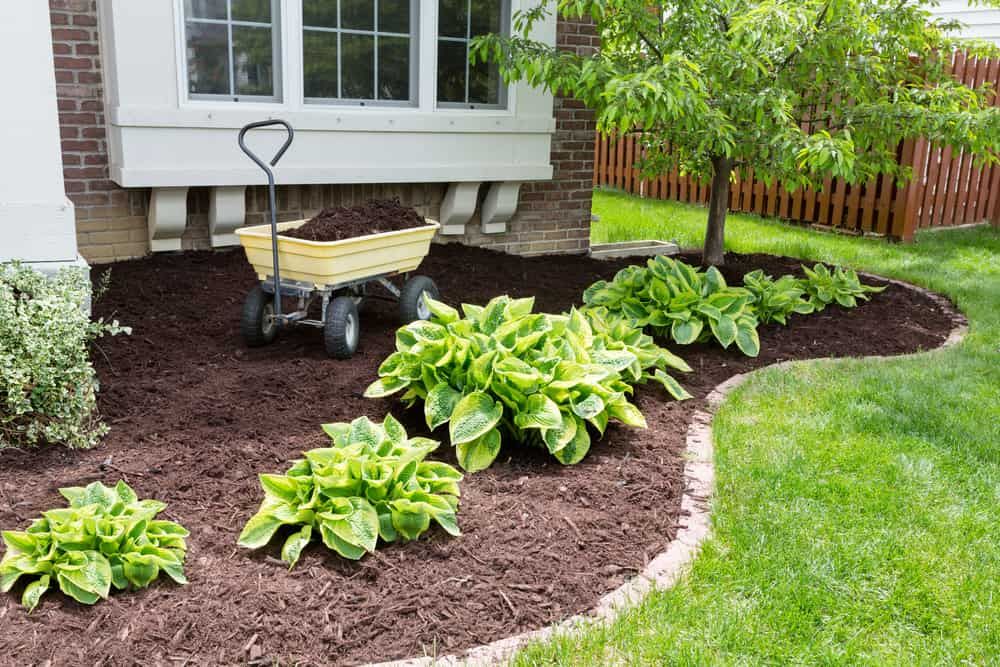 A Wheelbarrow Filled With Mulch is in a Garden in Front of a House — Bloomscapes in Lennox Head NSW