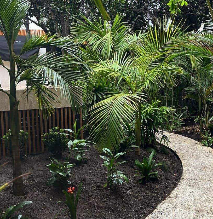 A Garden in backyard surrounded by white pebbles — Bloomscapes in Lennox Head NSW