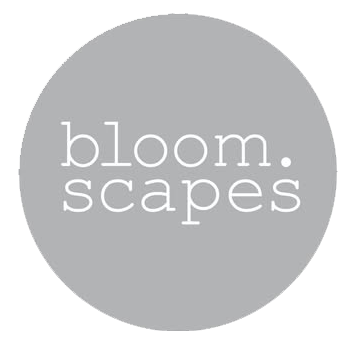 Landscape Design in the Northern Rivers