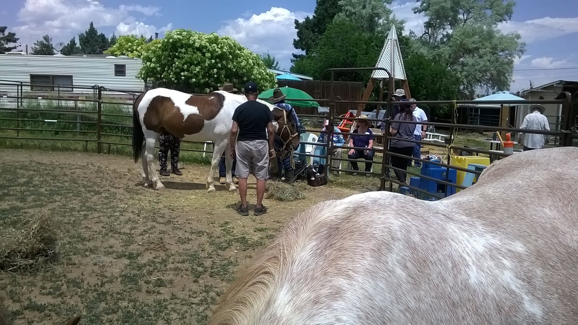 Veterans at the Sunny Horse Foundation, a Broomfield Community Foundation grantee