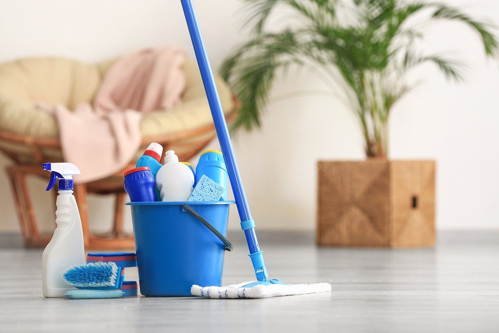 You Missed a Spot, Rochester: Professional Cleaners in Monroe County You Missed a Spot, Rochester: Professional Cleaners in Monroe County