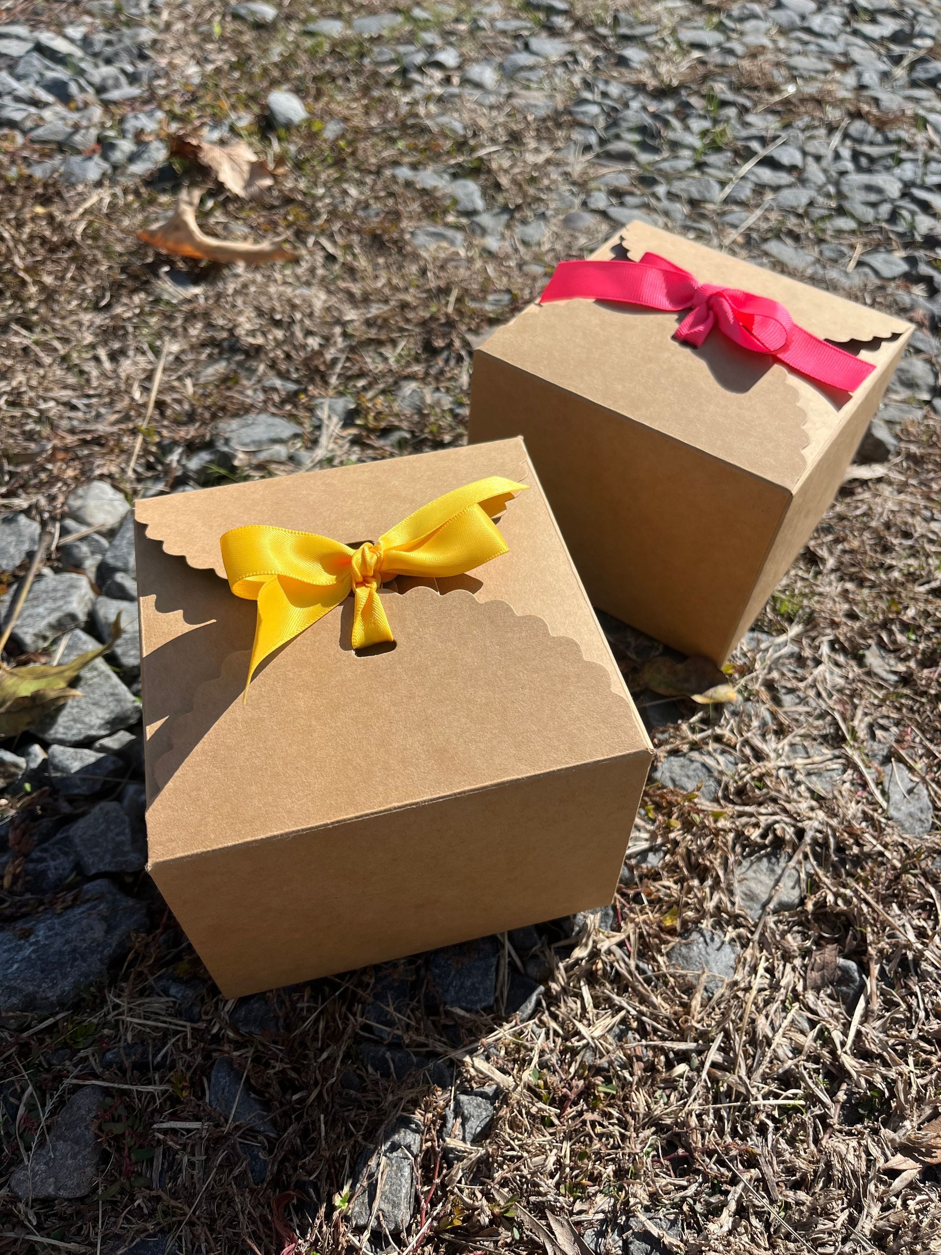 2 subscriptions brown looking boxes, 1 with a pink ribbon and another one with a yellow ribbon on a gravel ground.