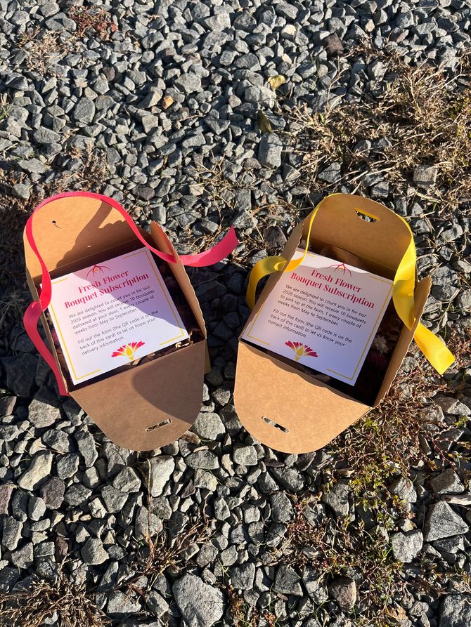 2 subscription boxes open on a gravel road, one with the pink ribbon and one with the  yellow ribbon.