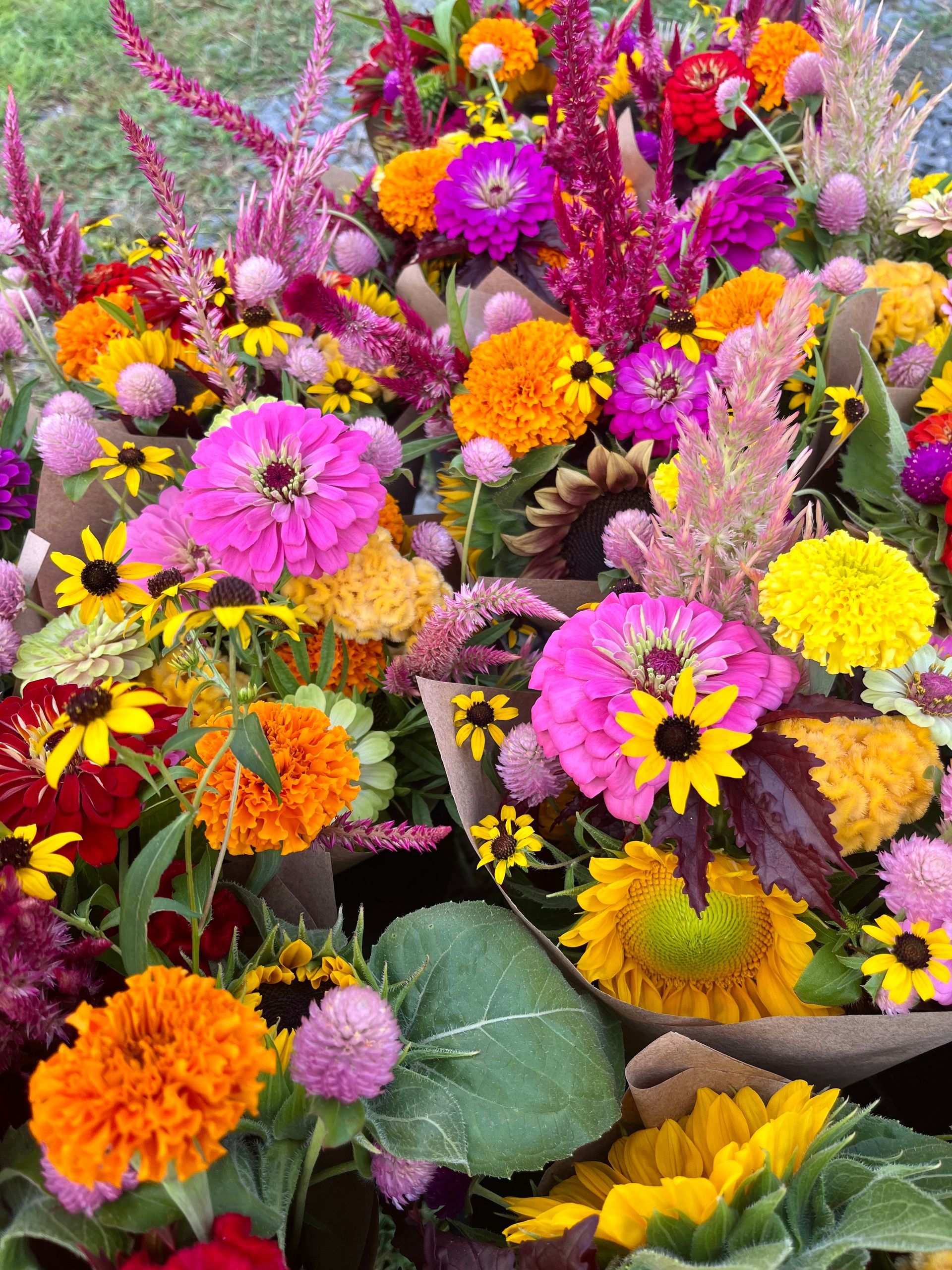 Fresh flower bouquets with lot of pink, purple, orange colors, with celosia, zinnias, gomphrenas, sunflowers