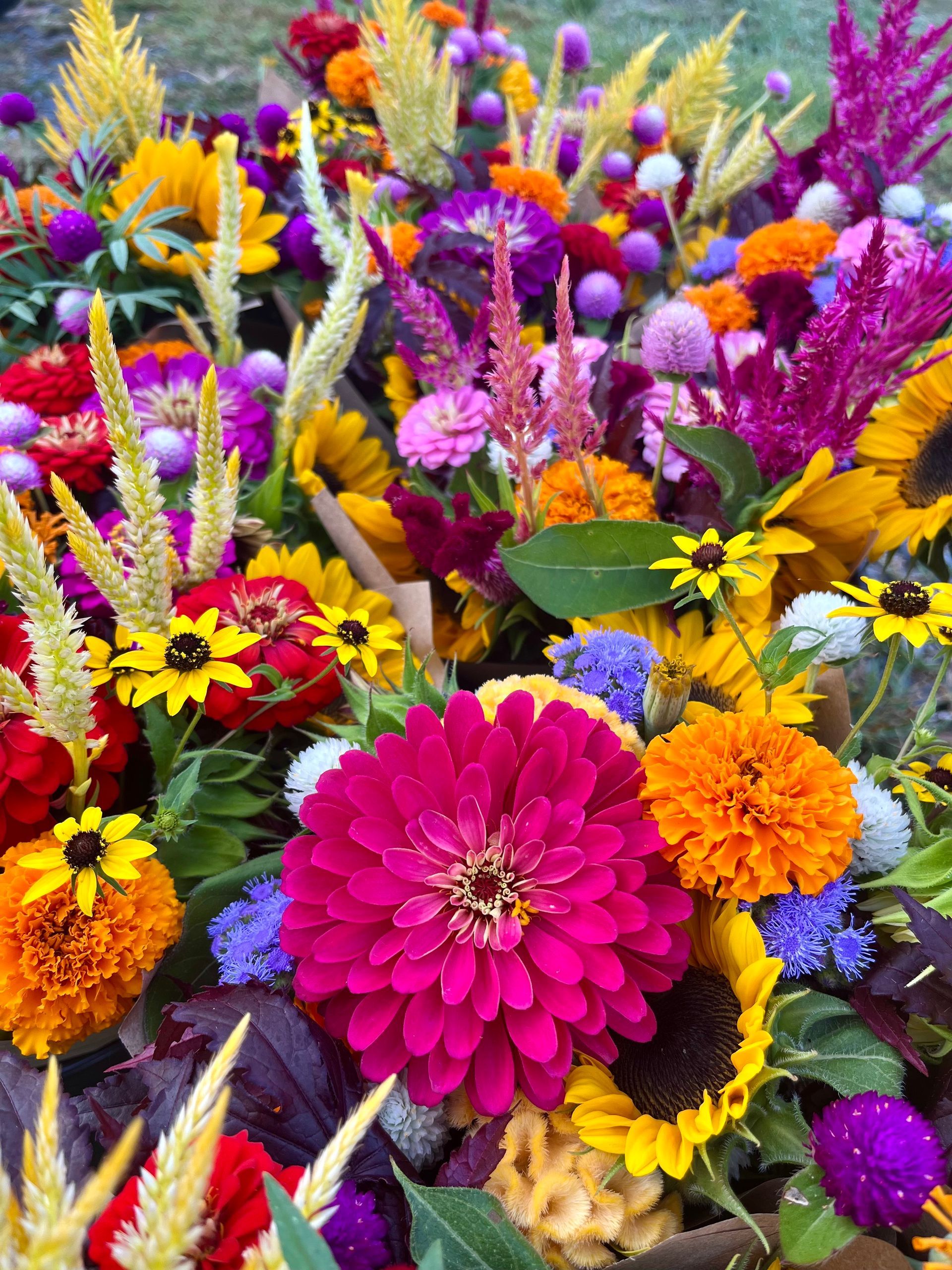Fresh flowers bouquets with lot of different flowers and colors (zinnia, celosia, gomphrena, sunflowers, marigold)