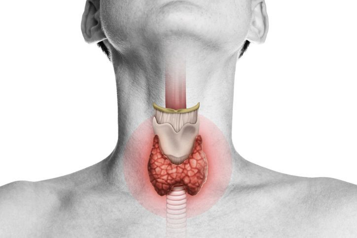 Un primer plano del cuello de una persona con la glándula tiroides resaltada en rojo.