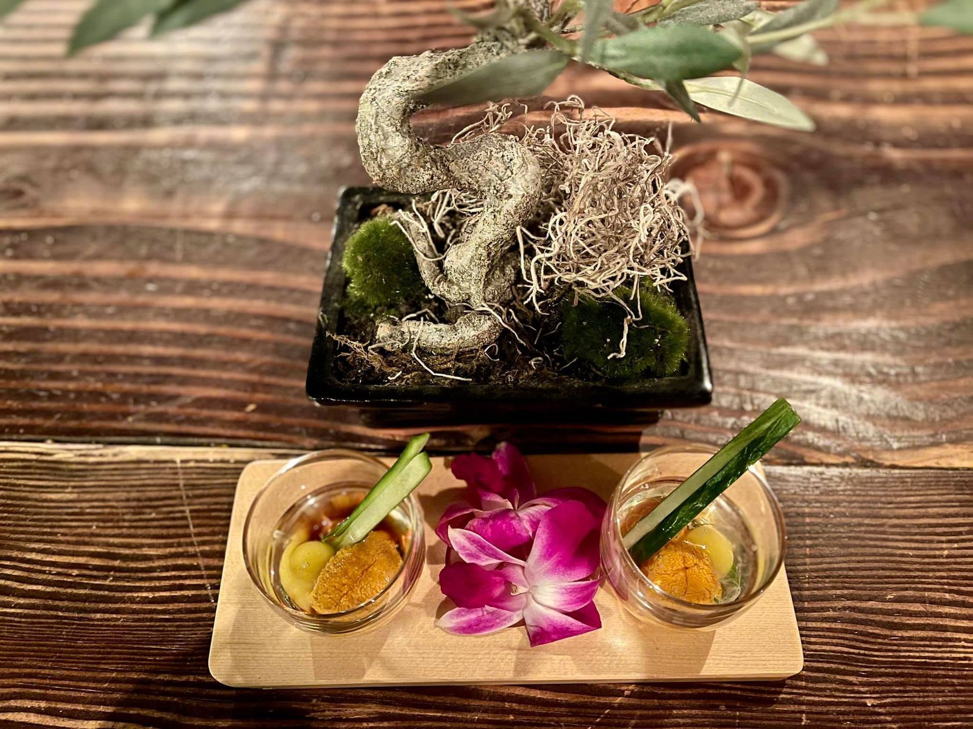 Two small desserts on a wooden tray with a pink flower, in front of a bonsai arrangement