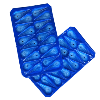 ALVEOLO