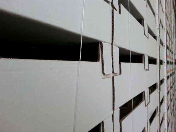 carta-08