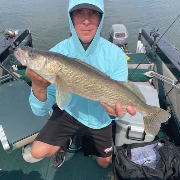 walleye fish
