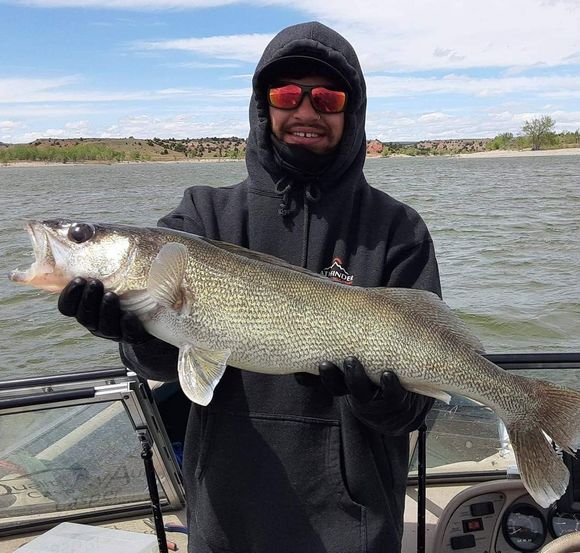 man captures walleye fish