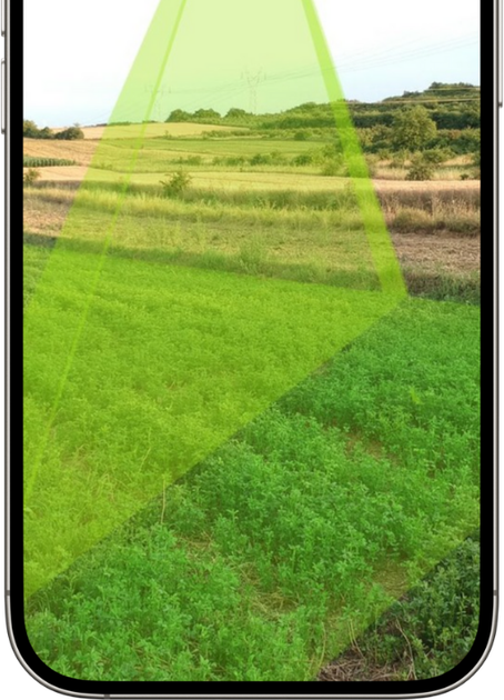 Smartphone screen showing a green field, overlaid with a green cone.