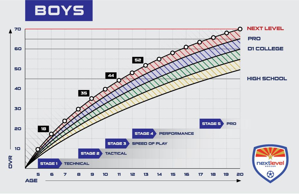 A graph showing the levels of education in the world