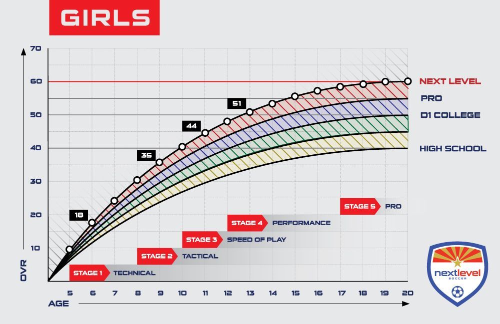 A graph showing the levels of education in the world