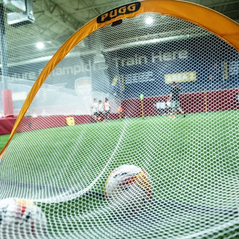 A pugg goal with a soccer ball in it