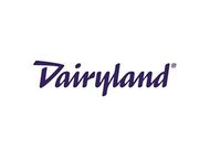 Dairyland logo in purple script on a white background