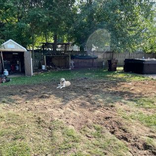 Dog lying in a yard with a shed, wooden fence, and hot tub. The yard is mostly dirt.