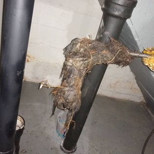 Massive clog of organic debris and plumbing snake in black pipes.