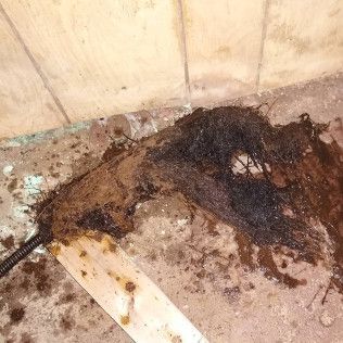 Roots and debris, dark brown, and black, on a dirty surface with a wooden board and walls.