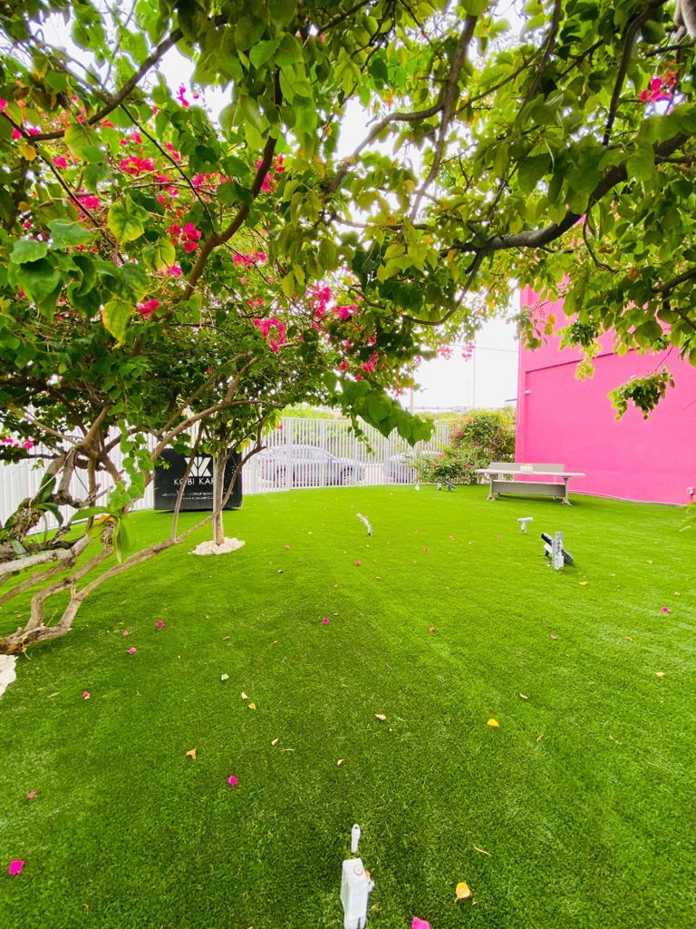 best artificial grass miami
