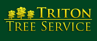 Triton Tree Service Triton Tree Service