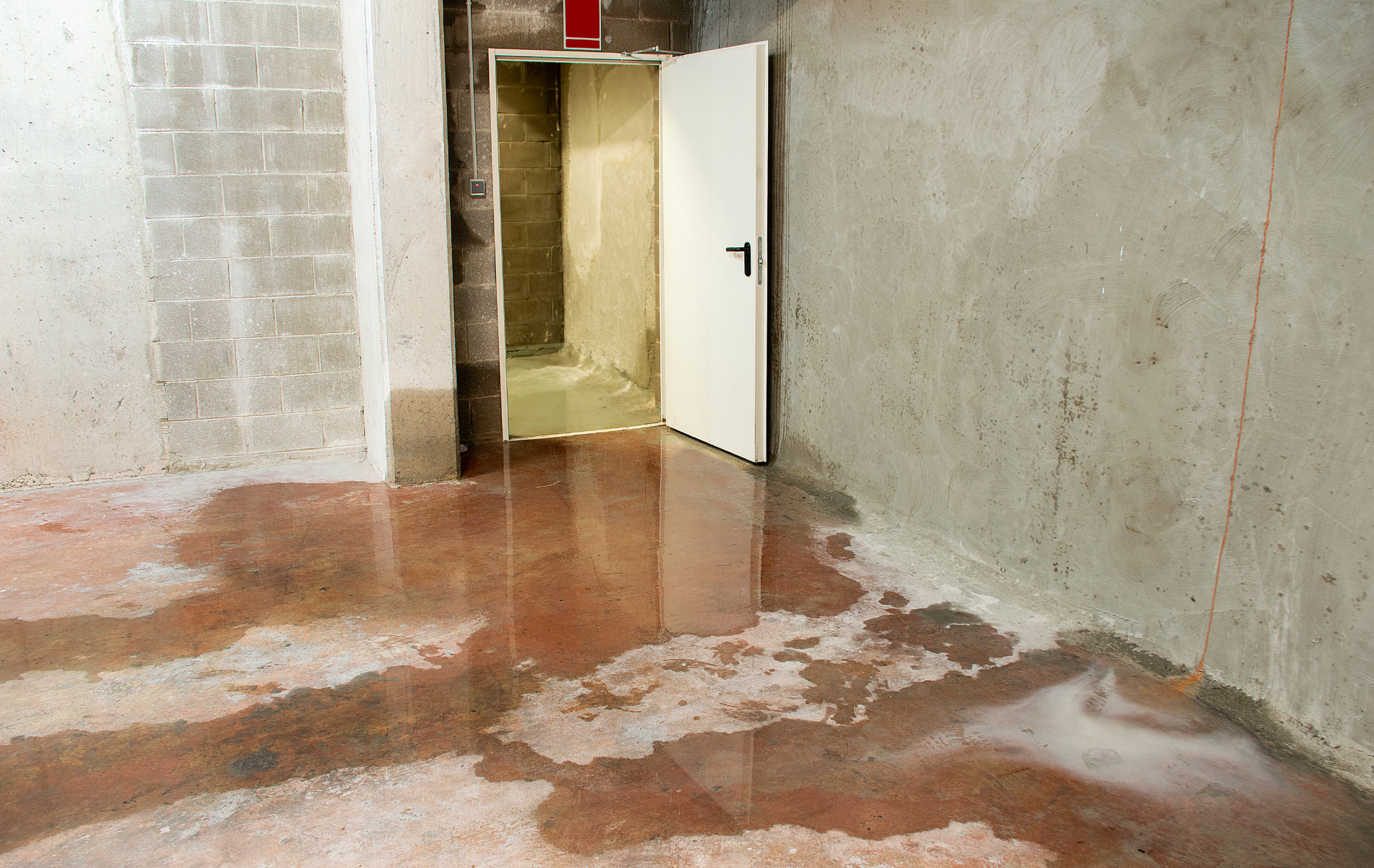 Flooded concrete room with an open white door and water pooled across the floor.
