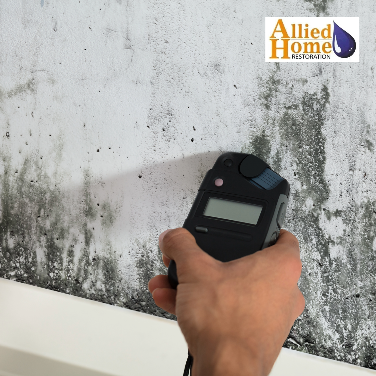 Person using moisture meter on a moldy wall. Allied Home Restoration logo in the upper right.