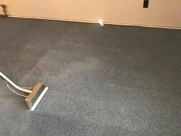 Carpet Cleaning Service Fenton Mi