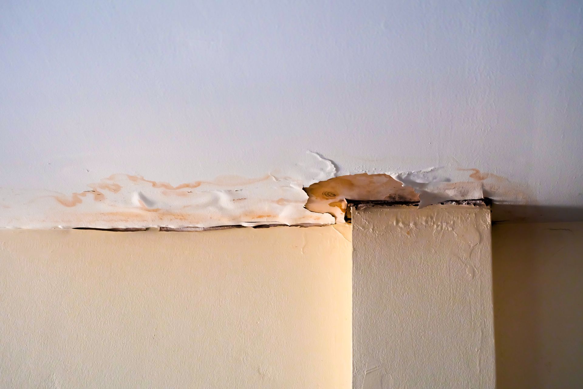 Water damage restoration in Linden, MI Water damage restoration in Linden, MI