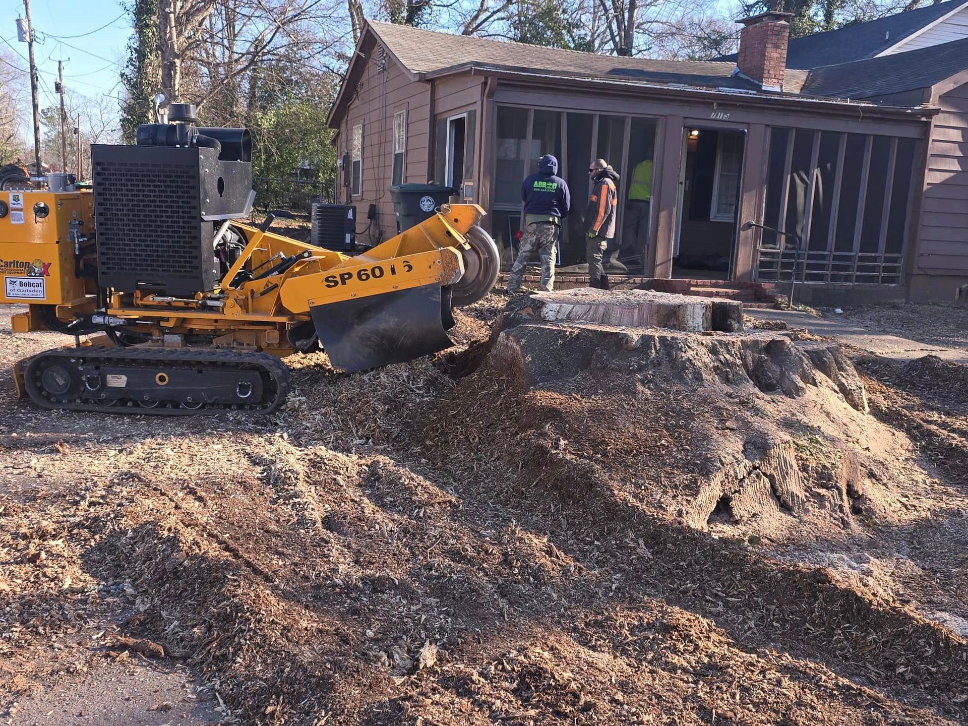A yellow stump grinder is cutting a tree stump in front of a house.