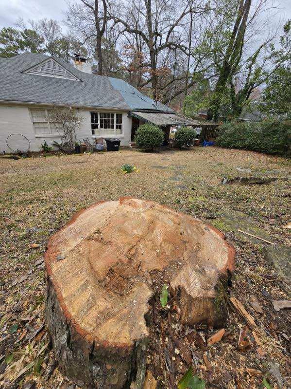 A large tree stump in a yard in front of a house.