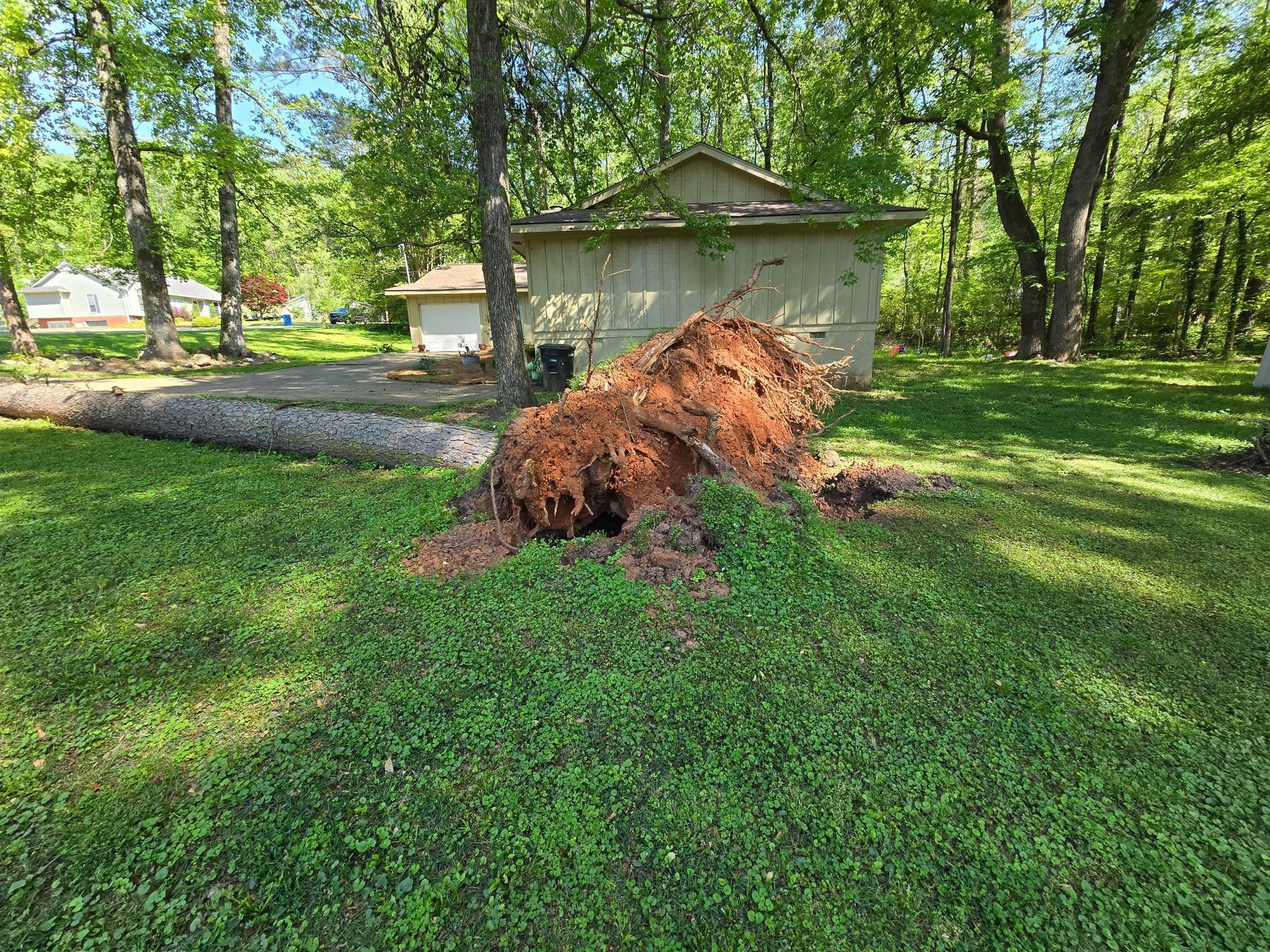 A large tree stump is laying in the grass in front of a house.