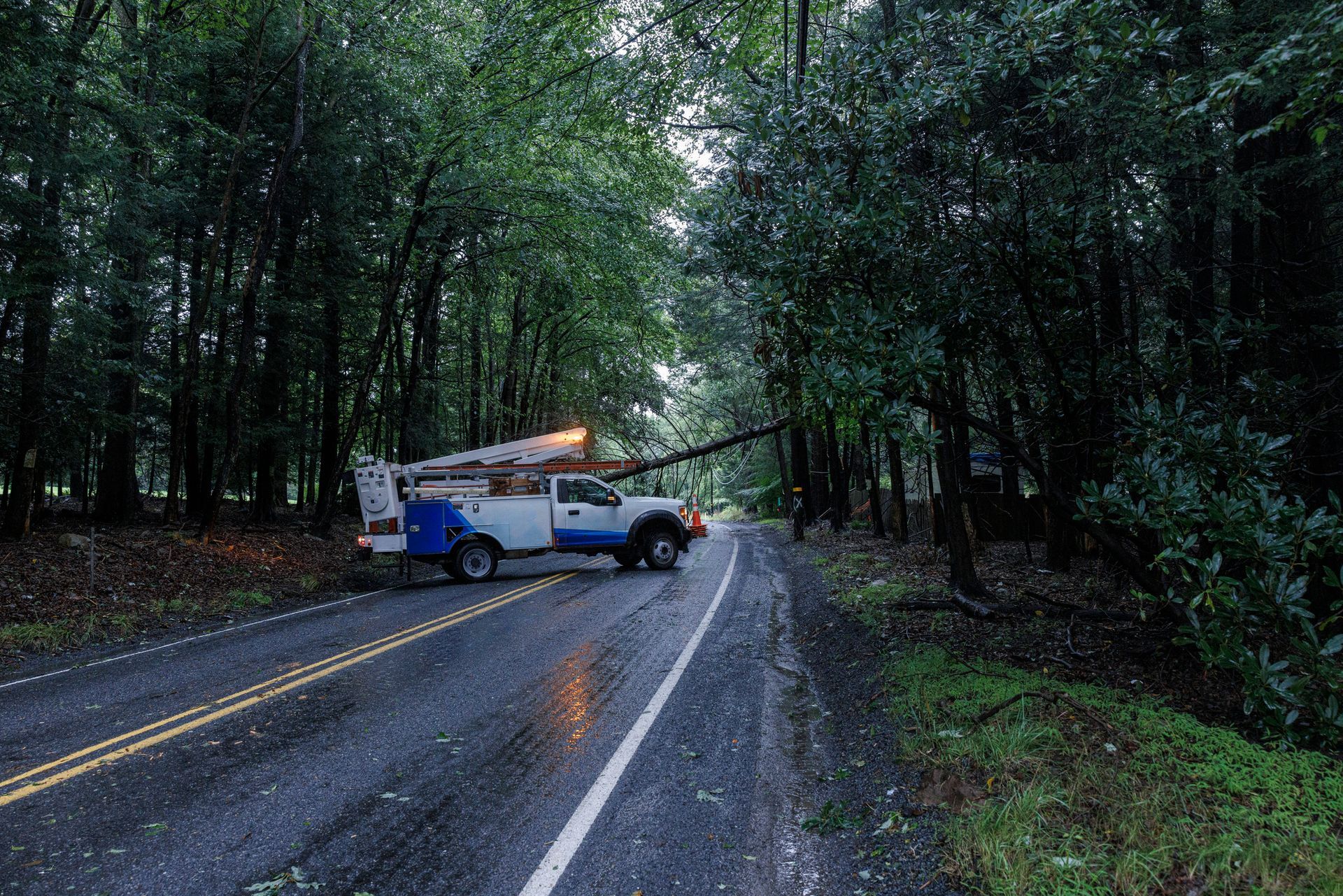 A white truck is parked on the side of a road next to a tree.